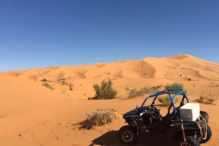Sunset Buggy Ride in Erg Chebbi
