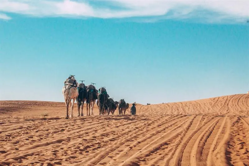 Paseo en dromedario al atardecer en Merzouga