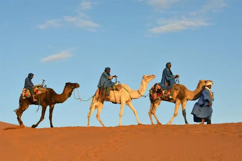 Giro in dromedario al tramonto a Merzouga