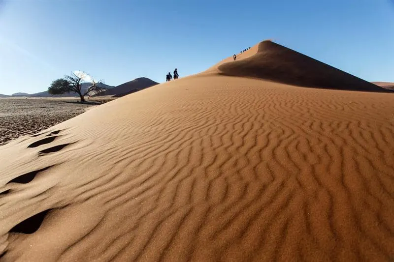 Avventura di sandboard a Merzouga