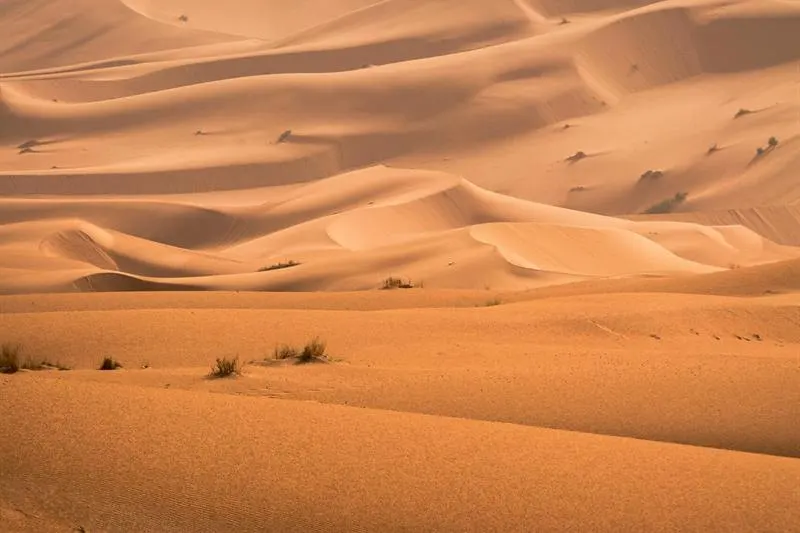 2 ore in buggy a Merzouga