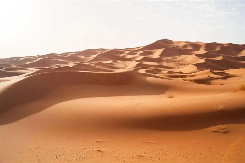 Sunrise Quad Ride in Merzouga