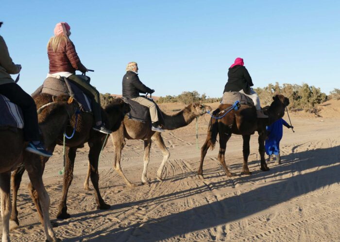 Camel ride in Merzouga